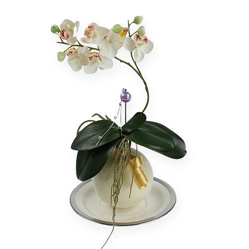 Floristik24 Blomster skumkugler creme 9cm 4stk