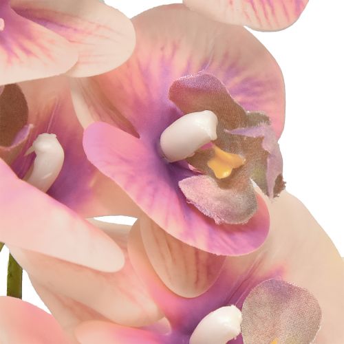 Artikel Orchid Phalaenopsis kunstig 7 blomster lilla creme 73cm