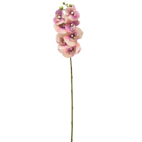 Artikel Orchid Phalaenopsis kunstig 7 blomster lilla creme 73cm