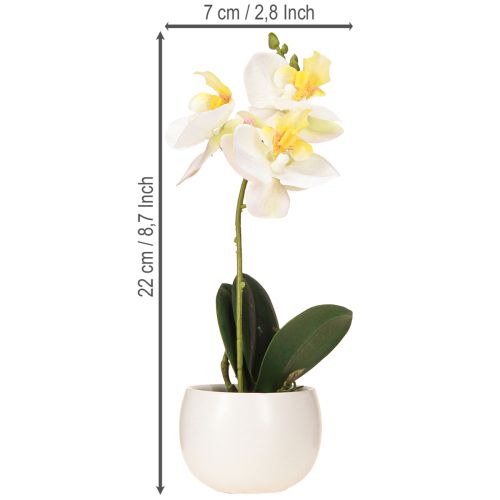 Artikel Kunstige orkideer i potte hvide miniorkideer Ø7cm H22cm