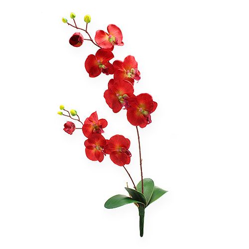 Floristik24 Deco orkidé rød 68cm