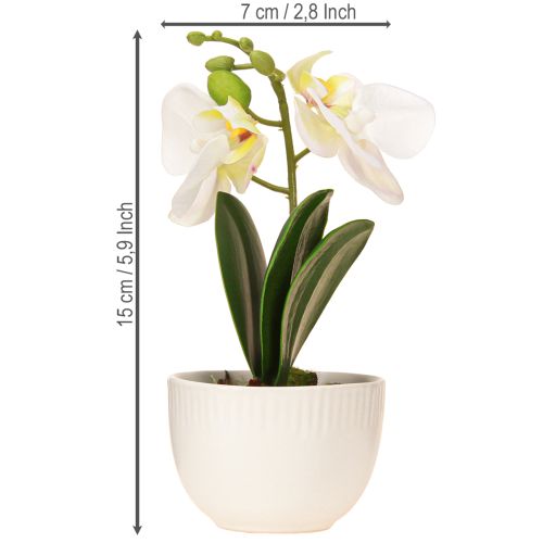Artikel Mini orkideer kunstige hvide orkideer i potte 15cm