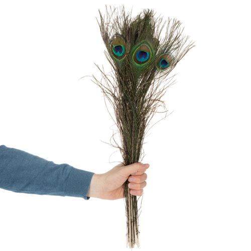 Artikel Påfuglefjer, ægte fuglefjer til kreativt brug og dekoration, 55 cm, 10 stk.