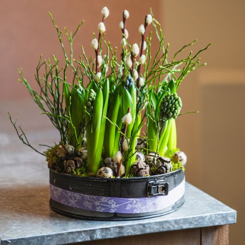 Floristik24 Plantekasse, dekorativ bradepande, springform til udplantning, metaldekoration Ø24cm H7,5cm