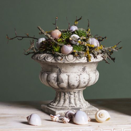 Artikel Planteskål lille plantepotte trofæ antik beton Ø15cm H13cm