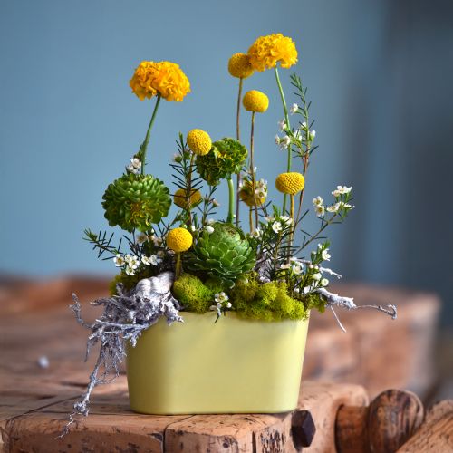 Artikel Planteskål oval gul dekorativ skål plastik 20×10×11 cm 3 stk.