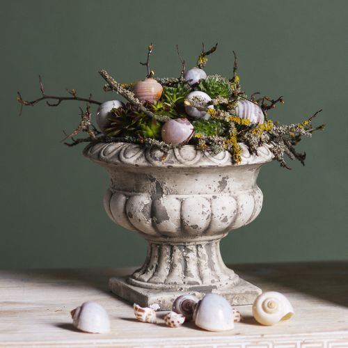 Floristik24 Planteskål plantekrukke trofæ antik beton Ø20cm H16,5cm