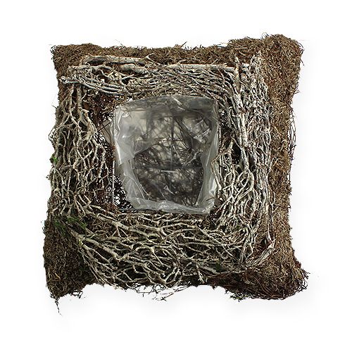 Floristik24 Planteskål kantet 20 cm x 20 cm