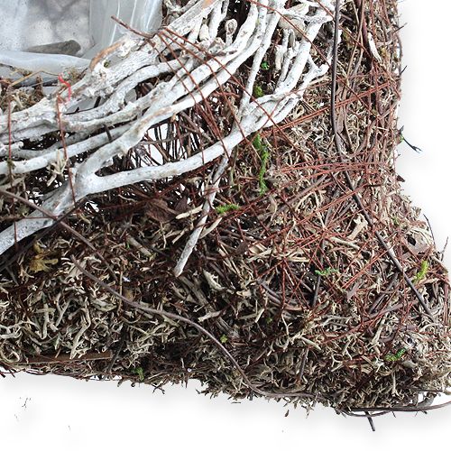 Floristik24 Planteskål kantet 20 cm x 20 cm