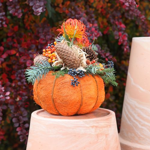 Artikel Plantepotte græskardekoration orange/gulgrøn sisal Ø21cm H12cm
