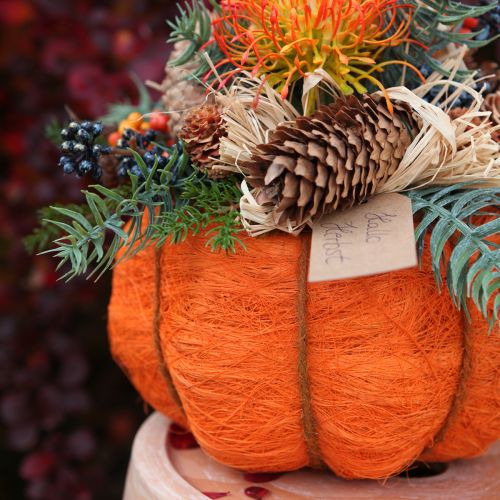 Artikel Plantepotte græskardekoration orange/gulgrøn sisal Ø21cm H12cm