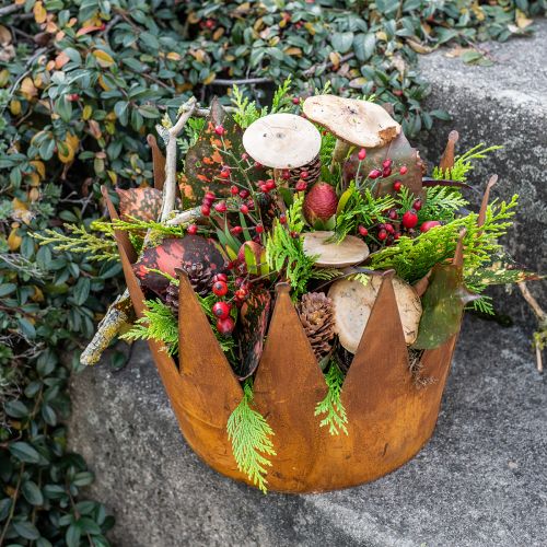 Floristik24 Plantekrukke rust dekorativ skål metal dekorativ krone vintage Ø30cm