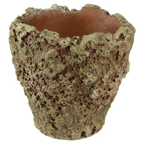 Plantekrukke rustik plante-moslook Ø17cm H16,5cm 4stk