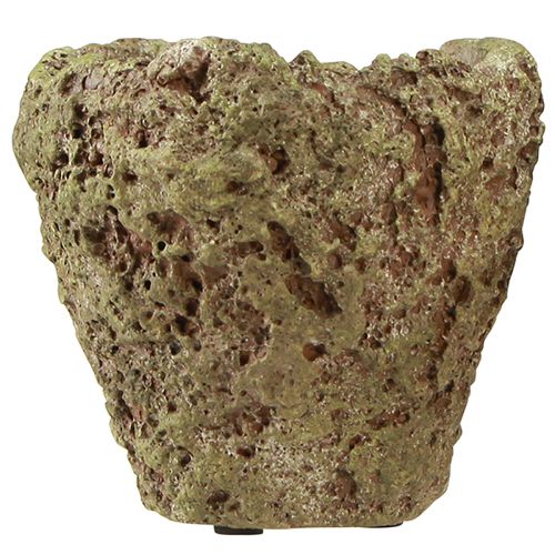 Artikel Plantekrukke rustikt skovlook plantekasse Ø12,5cm H12cm 6stk