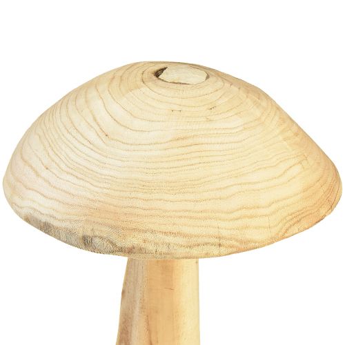 Floristik24 Naturlig elmetræ svampeskulptur - Rustikt design, 37 cm - Stilfuld have og indretning