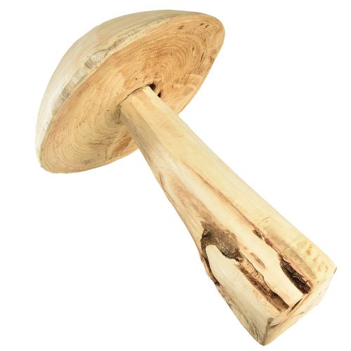 Floristik24 Naturlig elmetræ svampeskulptur - Rustikt design, 37 cm - Stilfuld have og indretning