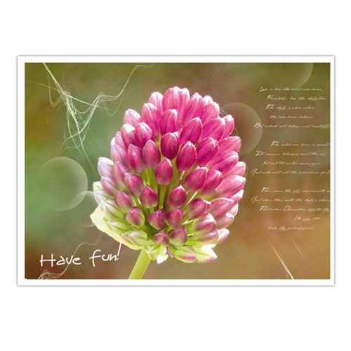 Artikel Sorter postkort med blomstermotiver. 4st