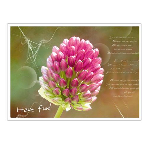 Floristik24 Sorter postkort med blomstermotiver. 4st