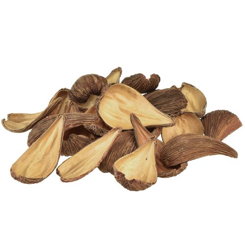 Artikel Frugt- og frøkapselbælg Pradeep Pods 9-12 cm naturlig 50 stk.
