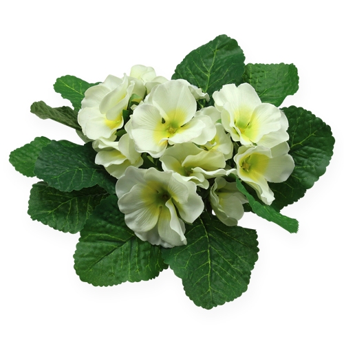 Floristik24 Kunstige blomster primula creme