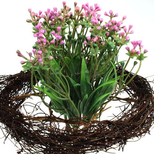 Floristik24 Vinmanchetter Ø20cm 10 stk
