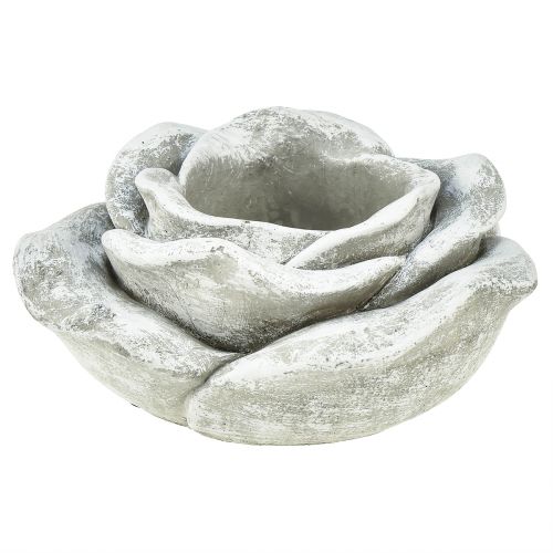 Floristik24 Rose grav dekoration bord dekoration lysestage grå hvid Ø14cm H7cm