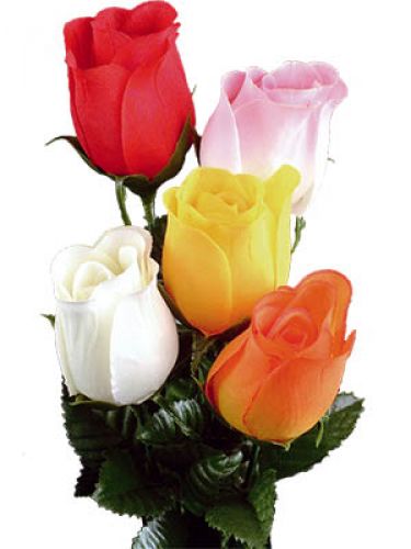 Floristik24 Rose farvet 72 stk