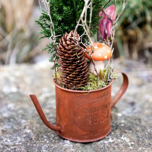 Rust dekorativ vandkande mini plantekrukke metal Ø10cm H9cm