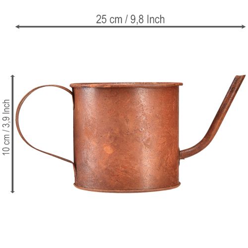 Artikel Rusten dekorativ vandkande, mini-plantepotte, metal, Ø10 cm, H9 cm
