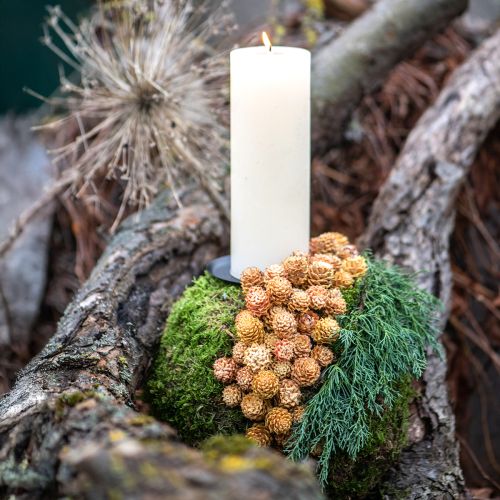 Artikel Salignum lys 4-6 blomster på Leucadendron grenen 100 stk