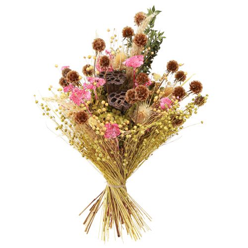 Artikel Scabiosa tørrede naturlige scabiosa tørrede blomster H50cm 100g