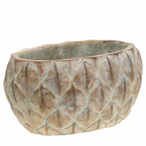 Floristik24 Planter betonblad motiv oval 23 cm