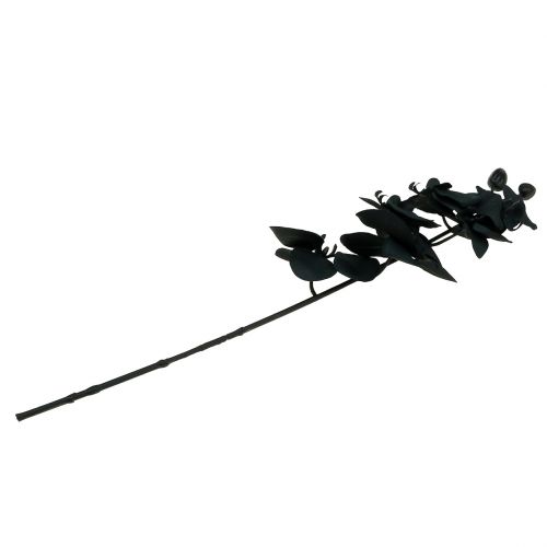 Artikel Orkidé til at dekorere Sort 54cm