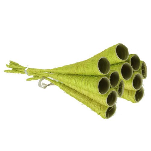 Floristik24 Sisal tragt lysegrøn Ø3cm L30cm 12stk