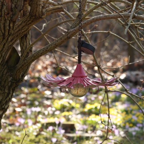 Artikel Solar LED Blomsterhave Lys LED Metal Pink Ø30cm