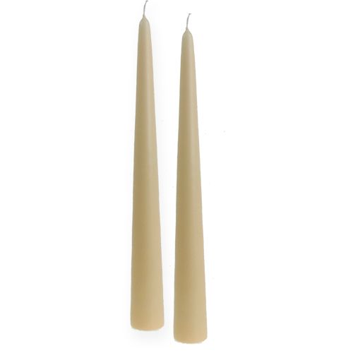 Floristik24 Spidelys 300/40 creme 8stk