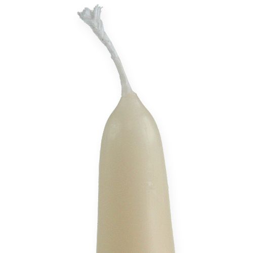 Floristik24 Spidelys 300/40 creme 8stk
