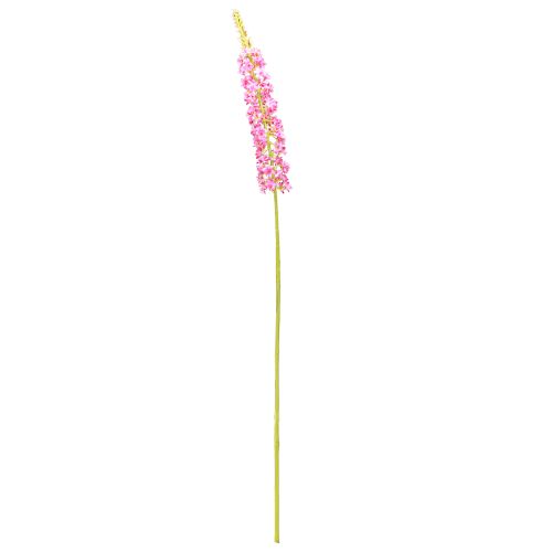 Artikel Steppelys Desert Tail Pink 106cm