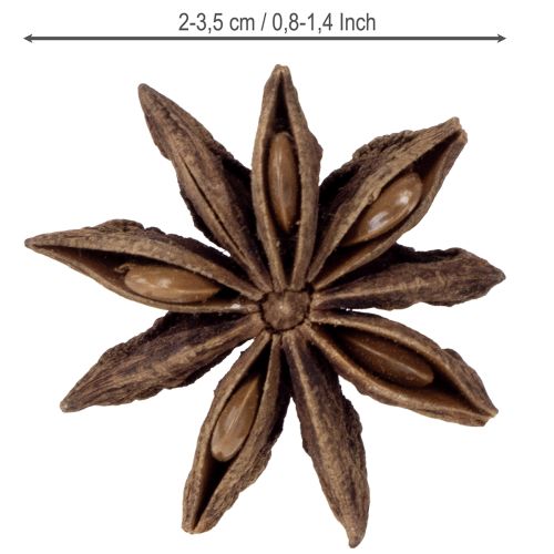 Artikel Stjerneanis dekoration hobbyartikler naturlig dekoration tørret anis 500g