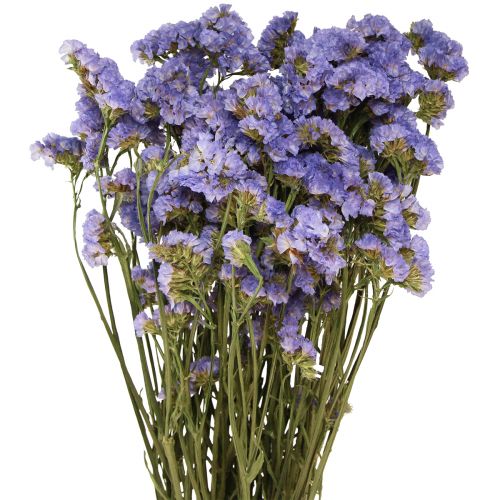 Floristik24 Sølila Lilla Statice Limonium sinuatum Tørrede blomster 60cm 50g