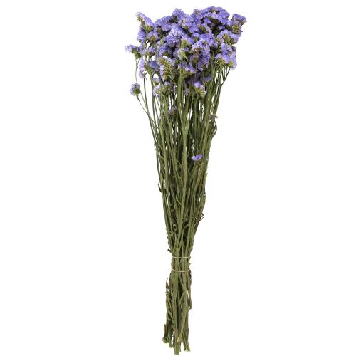 Floristik24 Sølila Lilla Statice Limonium sinuatum Tørrede blomster 60cm 50g