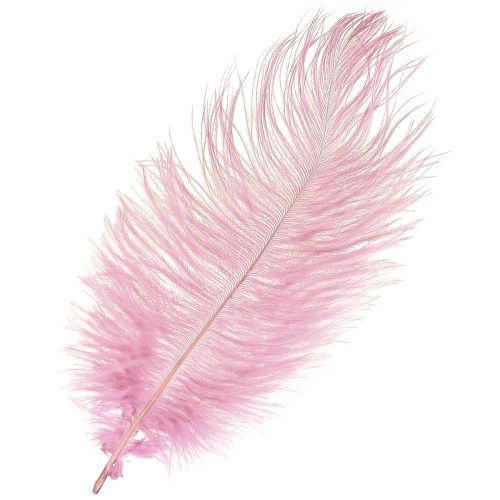 Floristik24 Strudsefjer Ægte fjer Dekoration Pink 20-25cm 12 stk