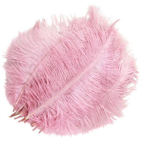 Artikel Strudsefjer Ægte fjer Dekoration Pink 20-25cm 12 stk
