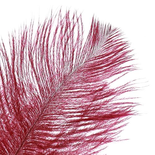 Artikel Strudsefjer ægte fjer dekoration vinrød 20-25cm 12 stk