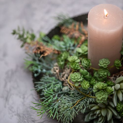 Artikel Sukkulent Echeveria 17cm Grå 3 stk