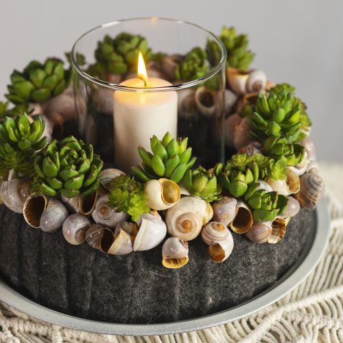 Artikel Sukkulent Echeveria Kunstig Grøn Plante Grøn Ø5,5cm 12,5cm