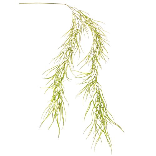 Artikel Sukkulent hængende grøn 145cm