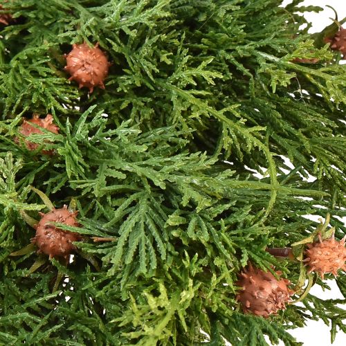 Floristik24 Grankrans Thuja med knopper base vinkrans Ø50cm