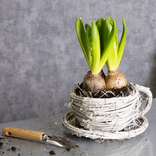 Artikel Tekop lavet af naturmateriale med rustik charme til eksklusiv indendørs dekoration 13 cm