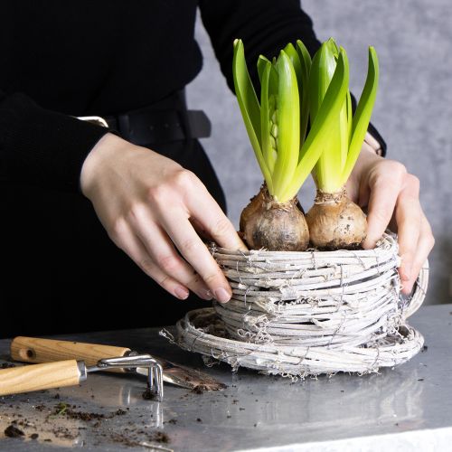 Artikel Tekop lavet af naturmateriale med rustik charme til eksklusiv indendørs dekoration 13 cm